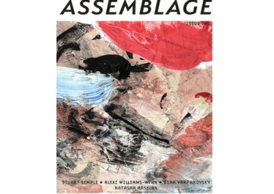 Assemblage Magazine – Interview with Stuart Semple by Bislacchi